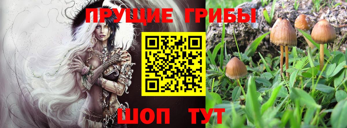 Галлюциногенные грибы Psilocybine cubensis  Псилоцибиновые грибы Cubensis  Барабинск  наркотики  Вход с VPN 